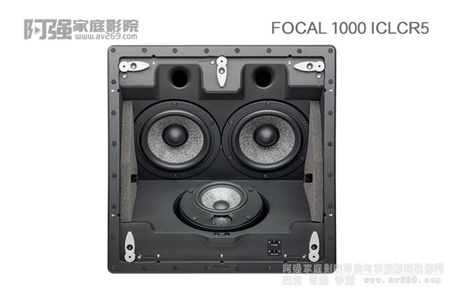 Focal 1000 ICLCR5Ƕʽ